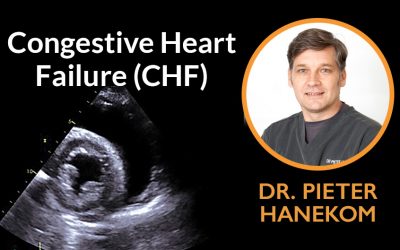 Congestive Heart Failure (CHF)