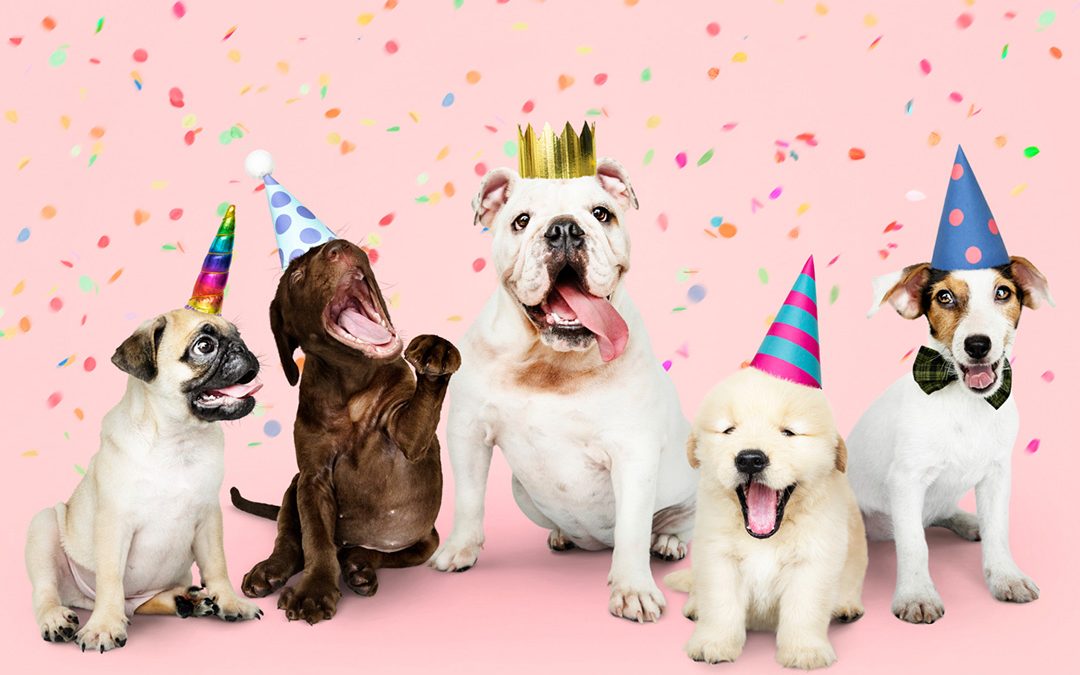 Celebrate your Pet!