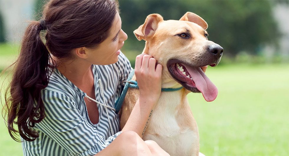 Hillcrest Vets Hillcrest Veterinary Hospital 24 Hours