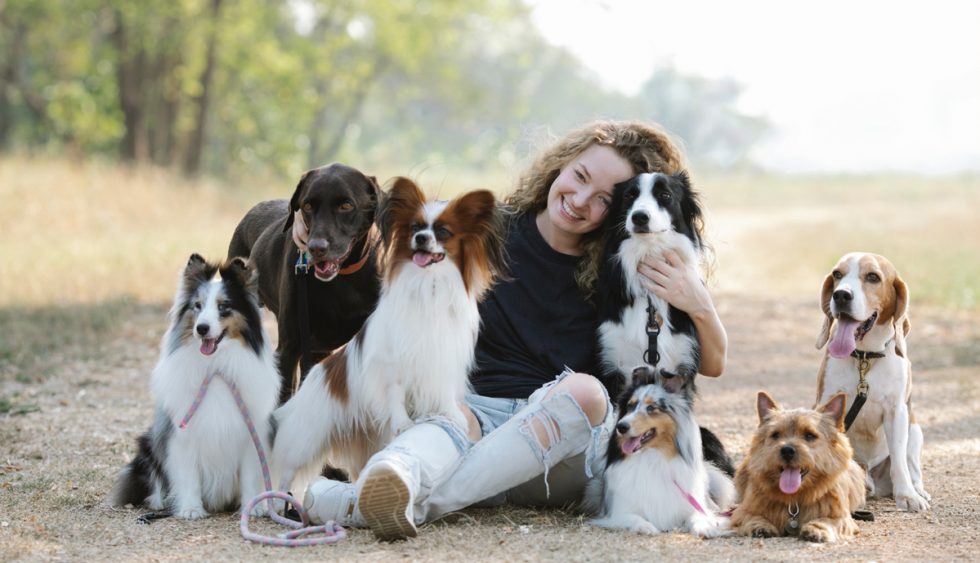 Hillcrest Vet Specials For the Upper Highway