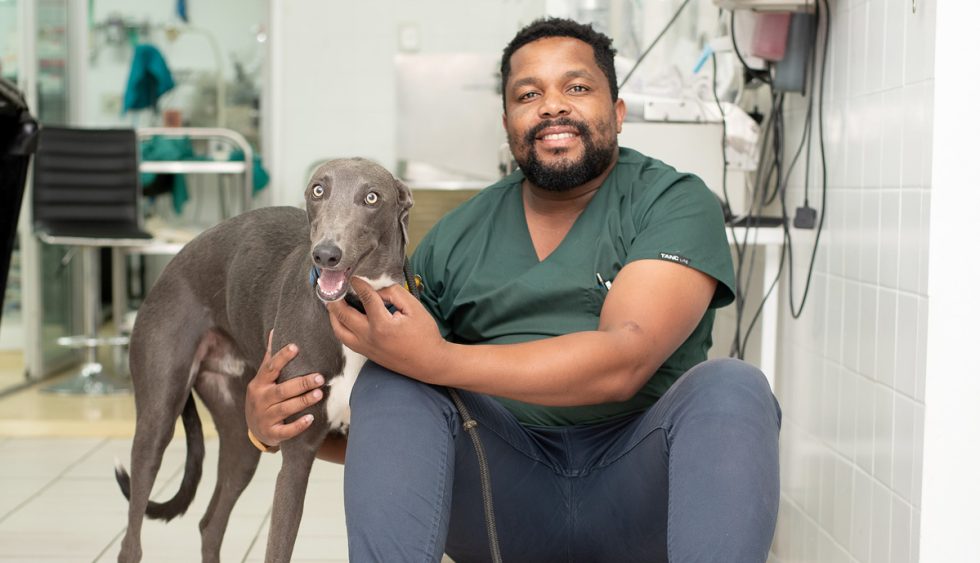 Hillcrest Dog Spa at Hillcrest Veterinary Hospital