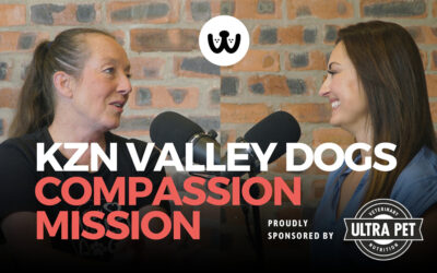 Rescuing, Educating, and Transforming Lives with KZN Valley Dogs
