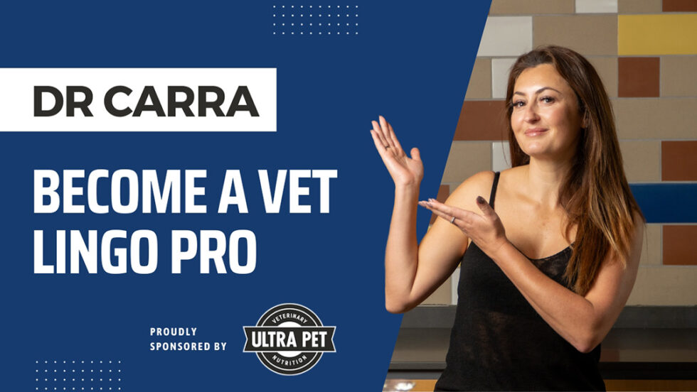 Understanding TPR Temperature, Pulse and Respiratory Rate Hillcrest