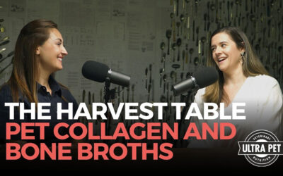 Pet Collagen, the Missing Link in Ultimate Nutrition