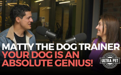 Your Dog is an Absolute Genius