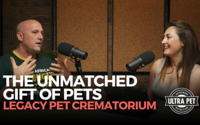 Grieving the Loss of your Pets and Honouring their Lives