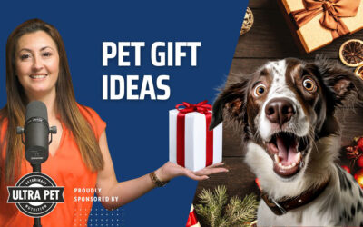 Dr Carra’s Holiday Pet Gift Ideas