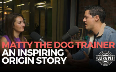 Decoding Canine Behaviour: Matt’s Journey to Dog Training Mastery
