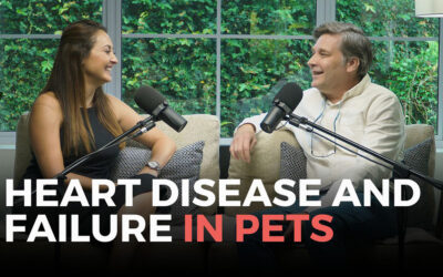 Heart Disease in Pets: Diagnosing and Treating with Dr Hanekom