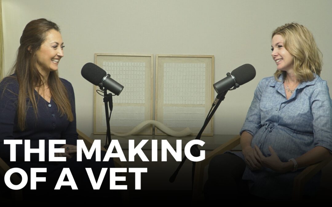 The Making of a Vet: Dr. Caity’s story from the Practice to the Page