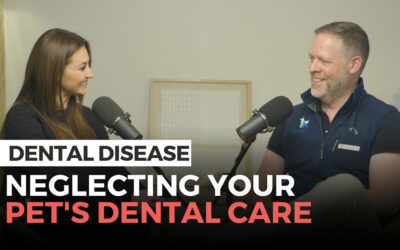 Dental Disease in Pets : Your Pet’s Dental Care.