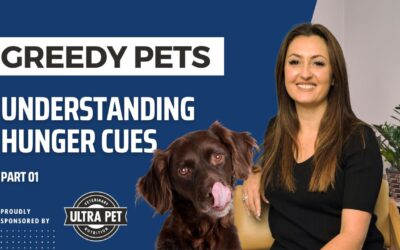 Greedy Pets: Physiological vs Psychological hunger?