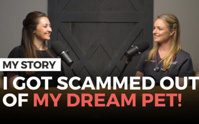 Pet Scams and the Heart-breaking Lessons Learned