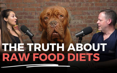 Why Pet Raw Food Diets Get a BIG Thumbs Down From Vets