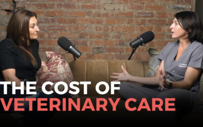 Explaining the Cost of Veterinary Care – A Candid Conversation