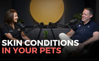The Complexities of Managing Skin Conditions in our Pets