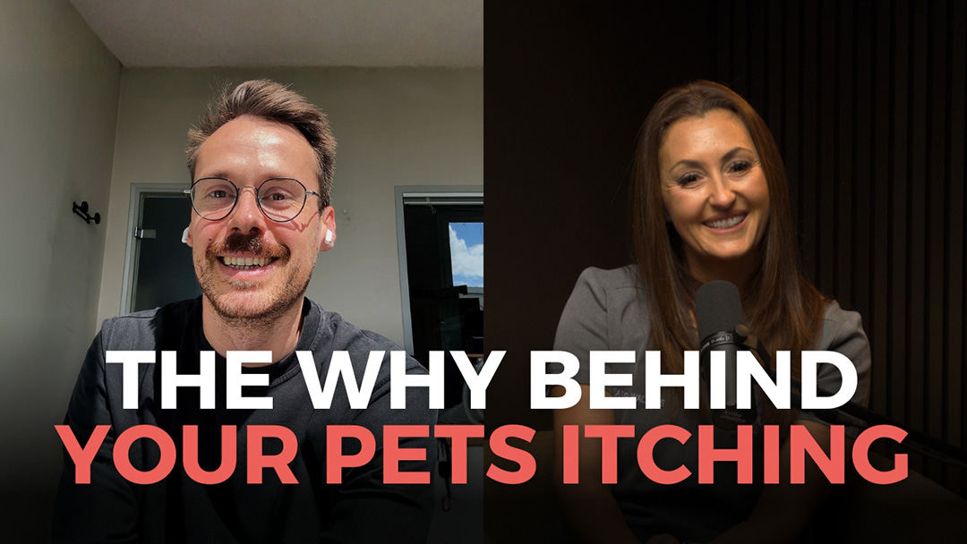 Itchy Pets? This Could be Why!