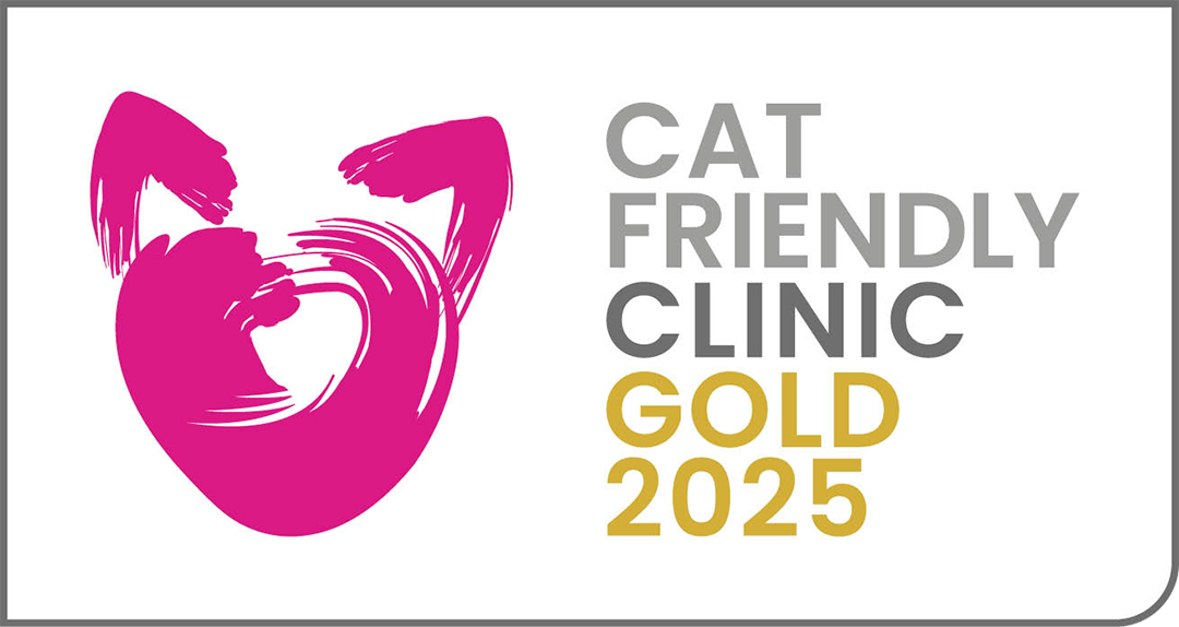 Gold Accredited Cat Friendly Vet