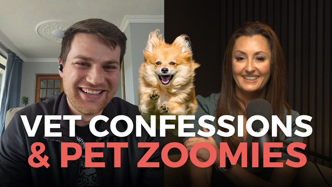 Vet Confessions & Pet Zoomies: Dr Nico du Preez Answers Your Funniest Questions