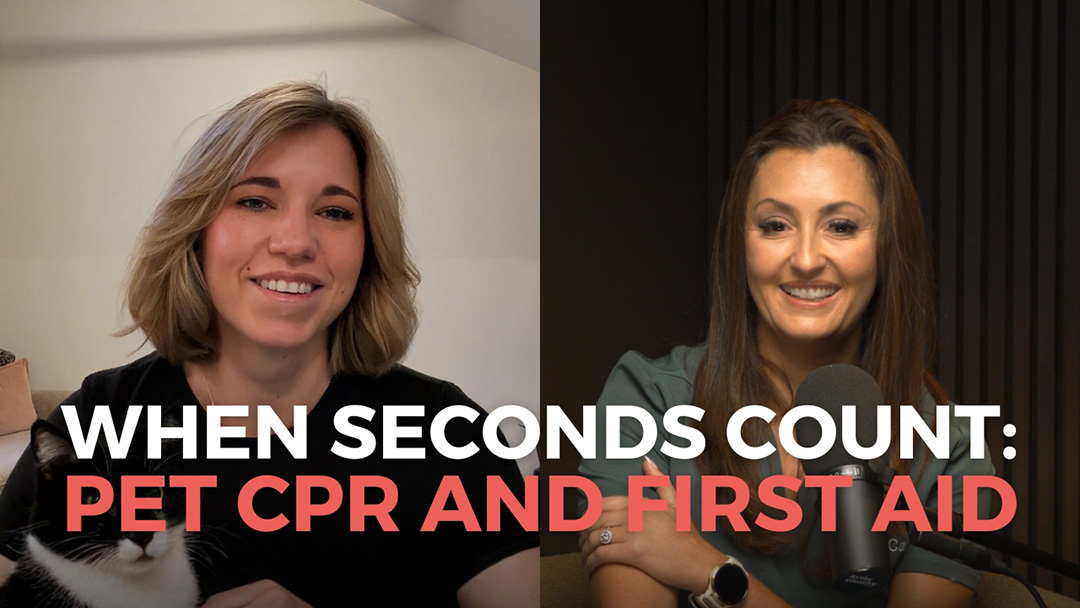 When-Seconds-Count-Your-Guide-to-Pet-CPR-and-First-Aid Pet First Aid and CPR