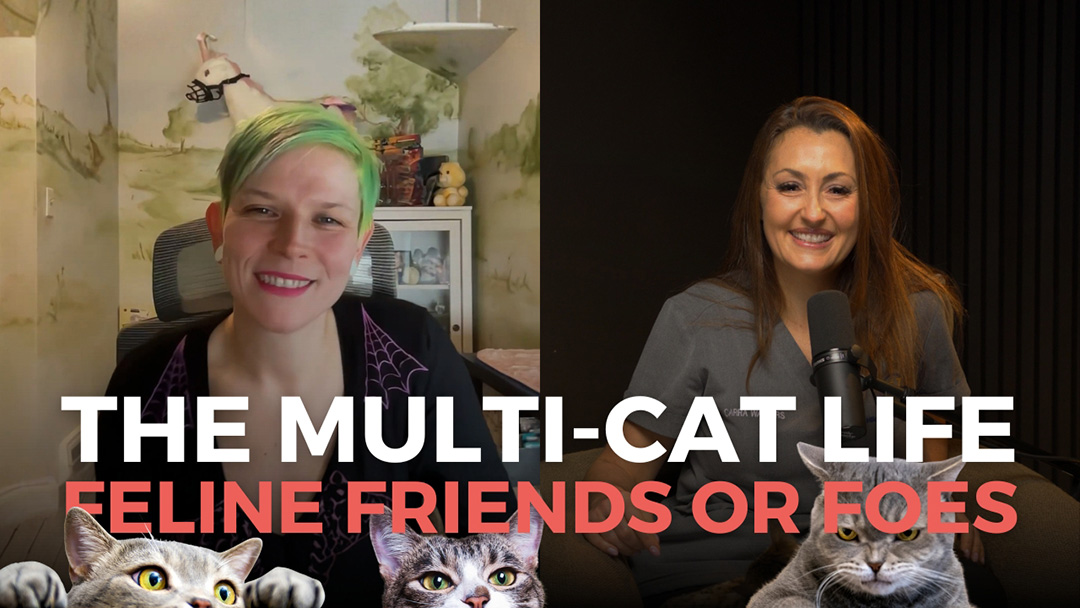 Feline Behaviour with Tabitha Kucera