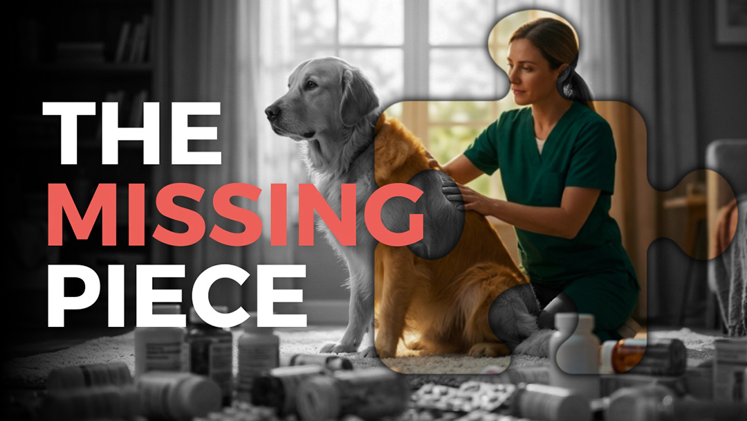 When Medicine isn’t Always the Answer in Pet Care