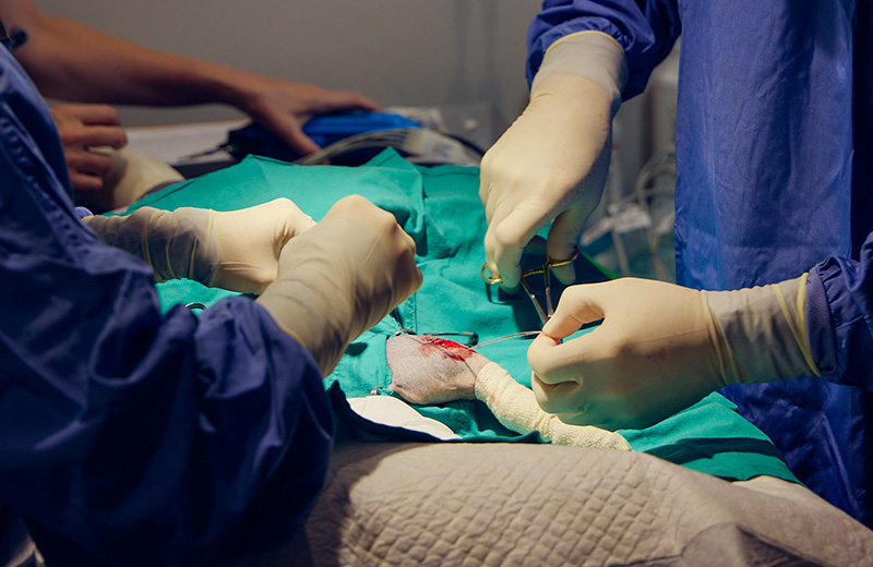 Emergency Vet Service