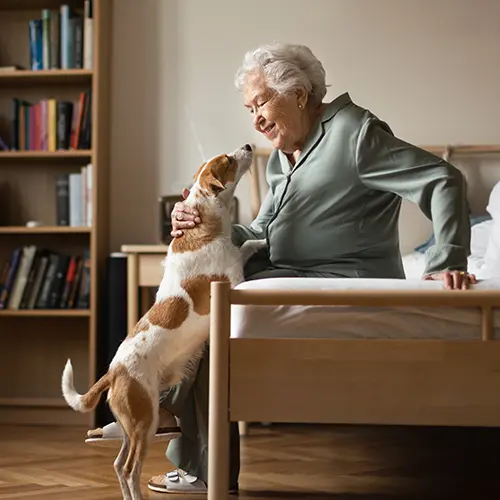 Pensioner and Loyalty Discounts