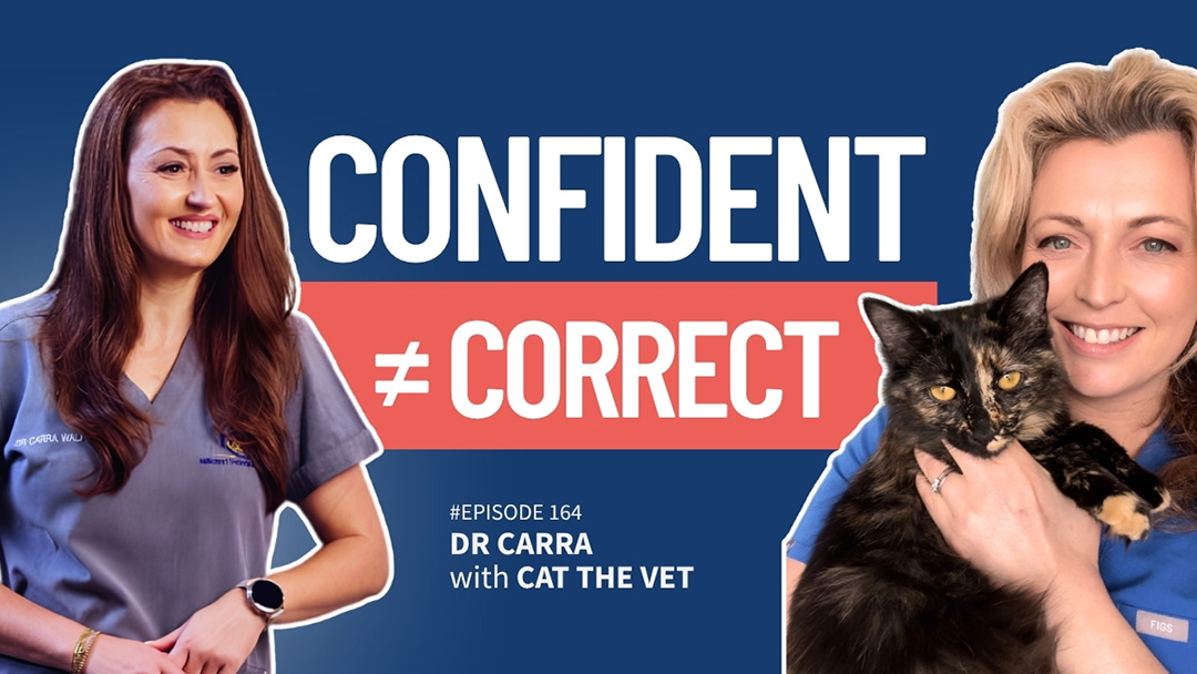Cat the Vet